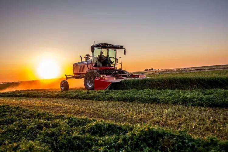 Zawiah alfalfa harvesting at sunset