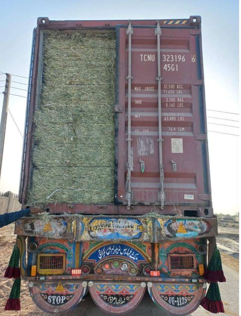 Zawiah container export