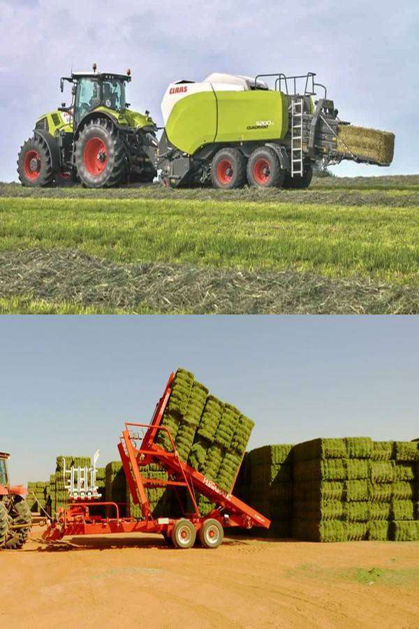 Zawiah hay baling and transport operations