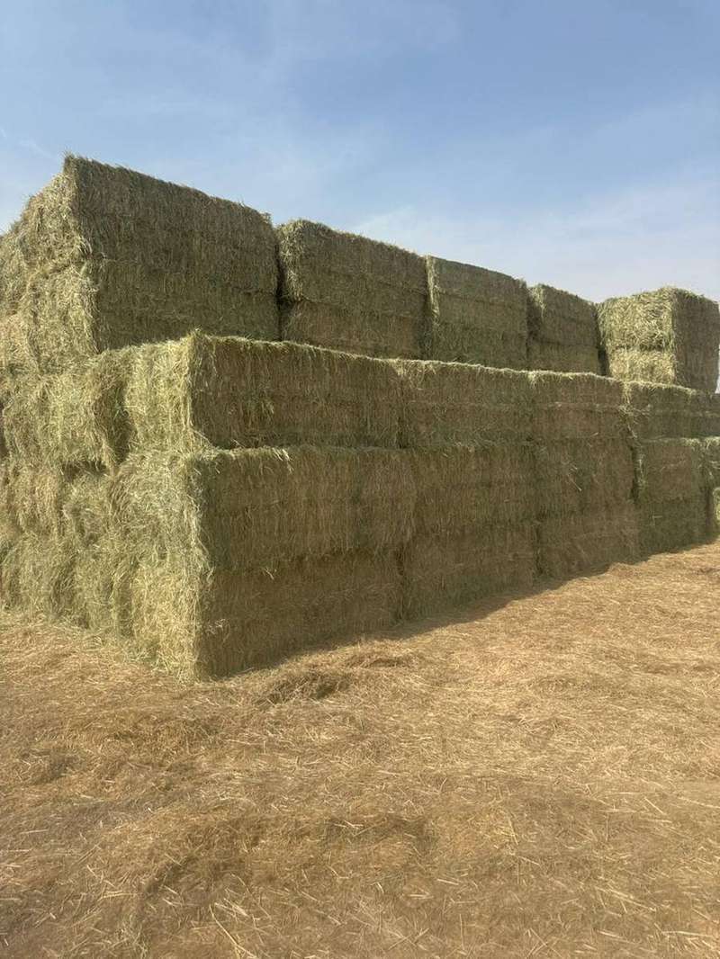 Zawiah large hay bale stock