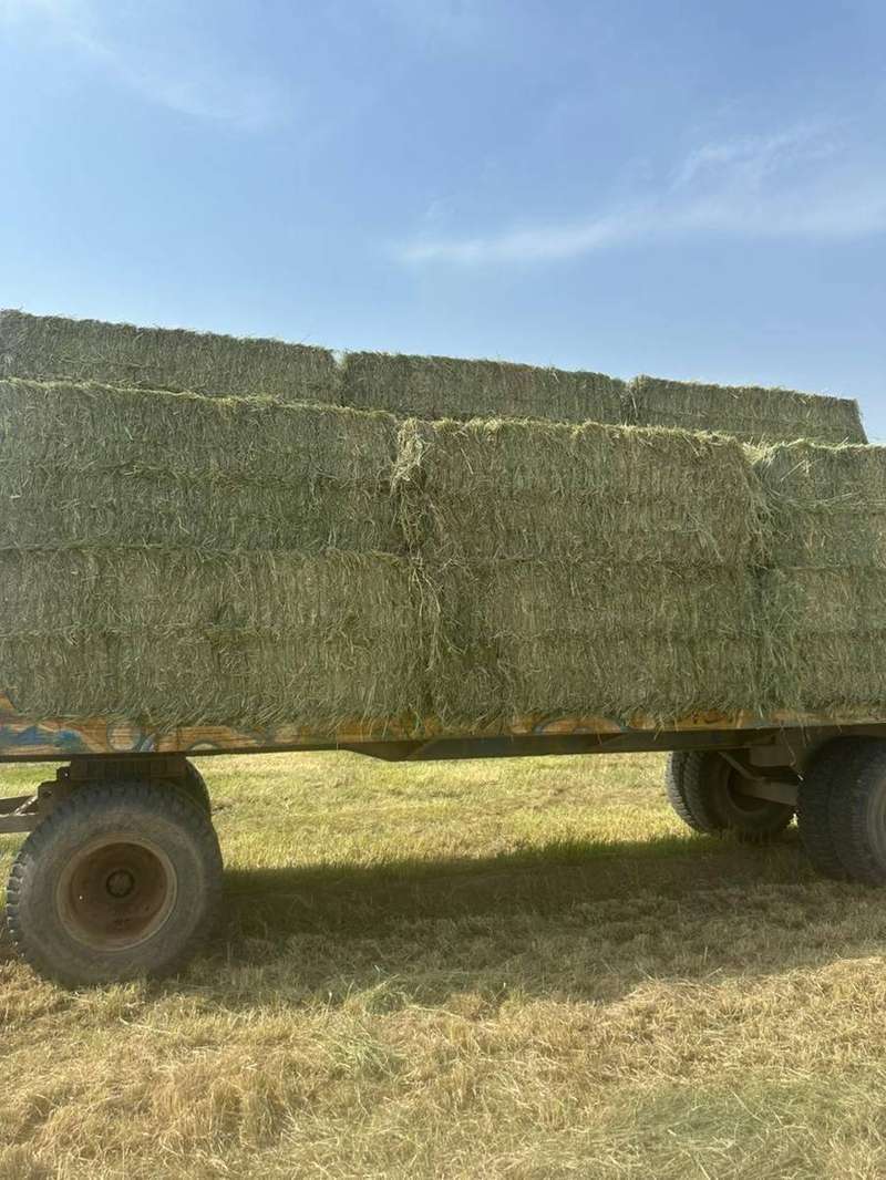 Loaded trailer