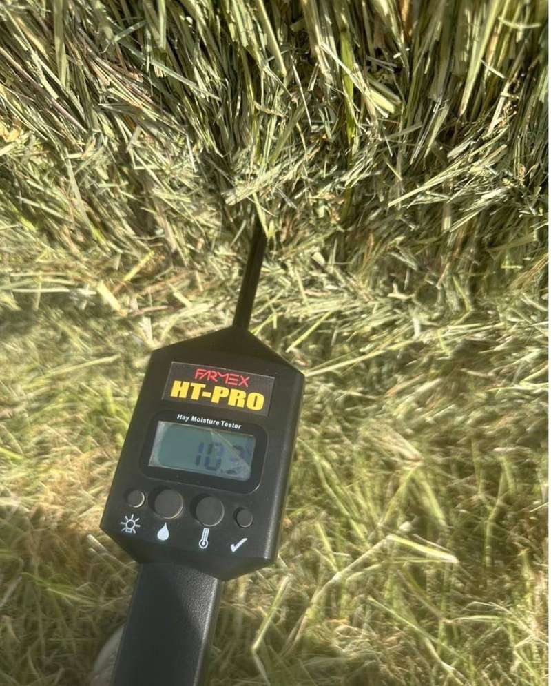 Moisture testing