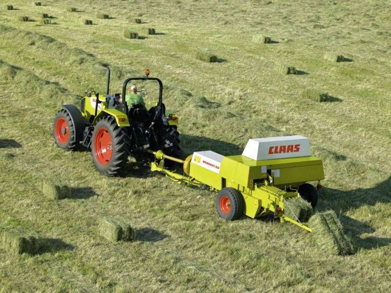 Zawiah hay baling operations