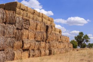 cereal-straw-bale-countryside-agriculture-farm-harvested-field