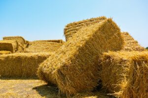 dry haystack, farming symbol of harvest time